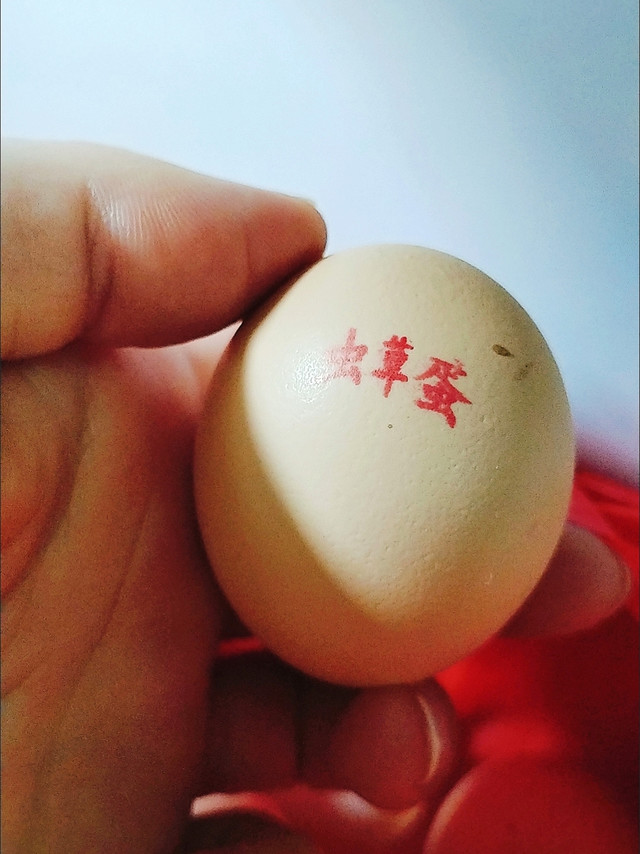 双11给你种草 ，无机素农家虫草鸡蛋营养健康
