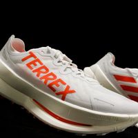 阿迪达斯徒步鞋是‘性价比之王’还是‘轻量噱头’？876+用户观点大碰撞