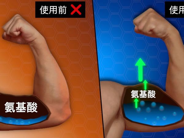 乳清蛋白粉怎么喝最有效？科学剂量、最佳时机与补充策略（基于ISSN立场声明）