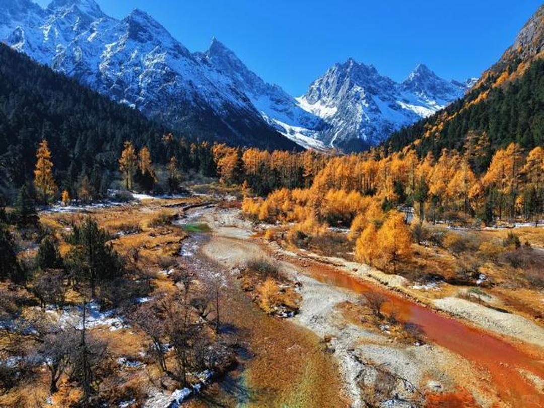 当毕棚沟的秋色撞上雪峰彩林，川西高原325平方公里变身上帝调色盘