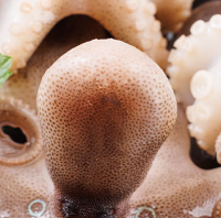 双十一海鲜党速冲！美加佳三去小章鱼，懒癌也能炫出大餐