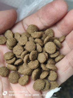 囤狗粮我是认真，目前已买了60kg