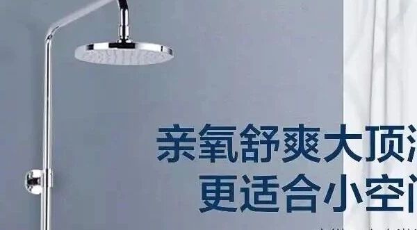 2025淋浴花洒选购指南：10大口碑品牌推荐，从高到低全面覆盖