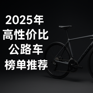 双十一公路车段位攻略：从通勤党到竞赛级，照着这份榜单冲就对了