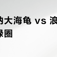 雪铁纳大海龟 vs 浪琴康卡斯绿圈？32位用户实测对比，答案在这