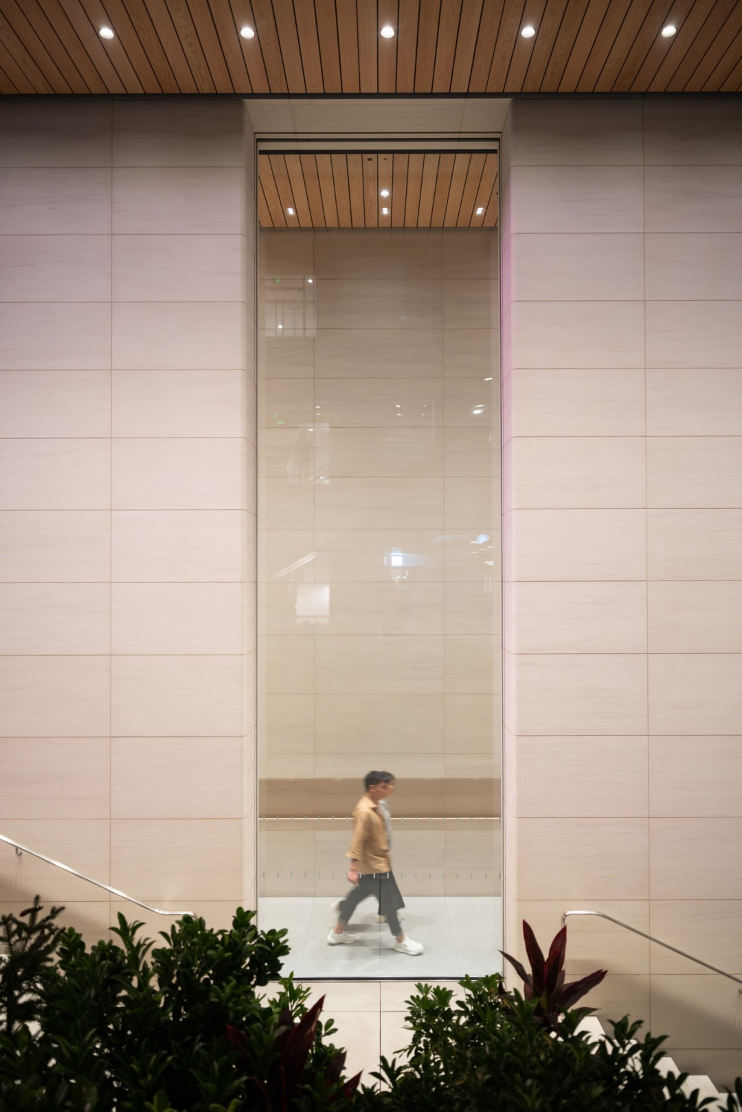 兼顾视频与拍照 尼克尔 Z 24-70mm f/2.8 S II 镜头评测