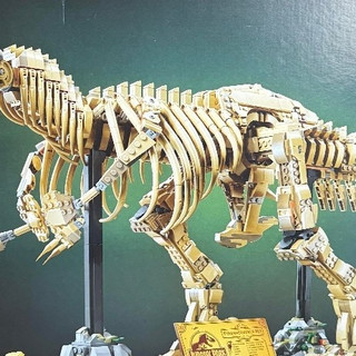 玩乐模型晒单🦖乐高霸王龙封神！拼完却被体型“劝退”…