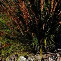 富士XF14mm F2.8 R 滤镜推荐