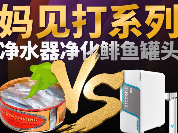 又欠打了！用净水器过滤鲱鱼罐头？