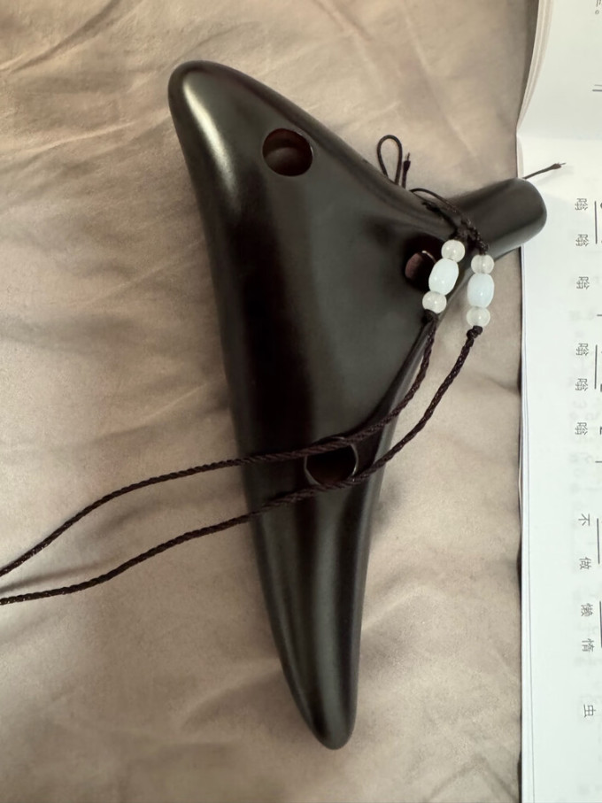 相思鸟声光玩具
