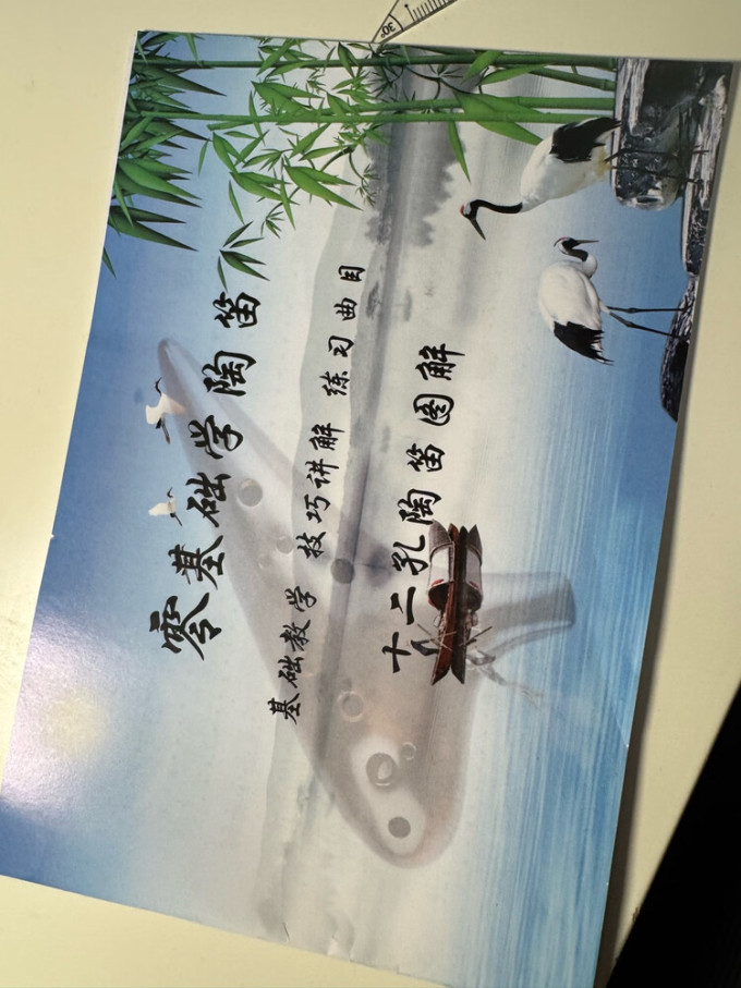相思鸟声光玩具