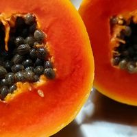 海南红心木瓜清甜美味，炖牛奶木瓜清润滋补口感真棒