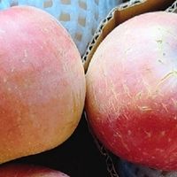 大凉山丑苹果，脆甜多汁我喜欢