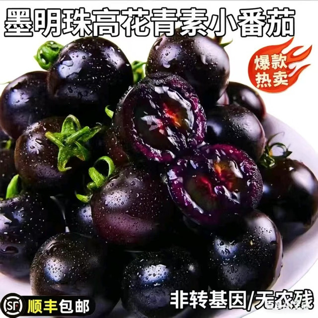 被问了 800 次的 “花青素王者”！墨明珠小番茄吃一次就沦陷💥