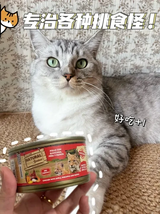 拿捏挑嘴猫！就靠这罐🤭