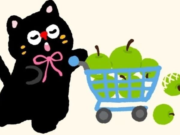 新手养猫必看