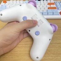 莱仕达P50S HD深度体验：Switch2和PC党通吃的全能手柄！