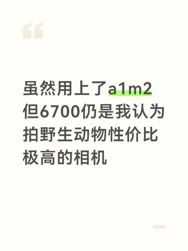 6700仍是我认为拍野生动物性价比极高的相机