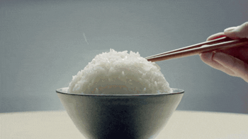 五常新米VS陈米：是“鲜香软糯”还是“以次充好”？1000+用户真实观点大碰撞