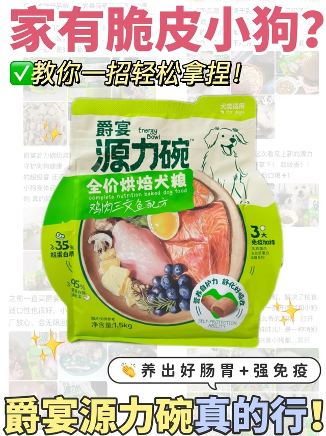 爵宴源力碗真能养出好肠胃+强免疫？我来说说