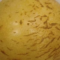 双11战绩，开箱！甜蜜蜜人参果好吃不上火