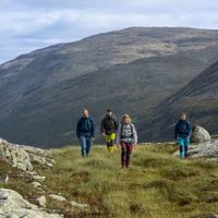 火柴棍Haglöfs是‘户外界LV’还是‘高价低配’？528+用户真实观点大PK