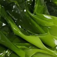霞浦盐渍海带苗：海洋馈赠的鲜嫩百搭食材