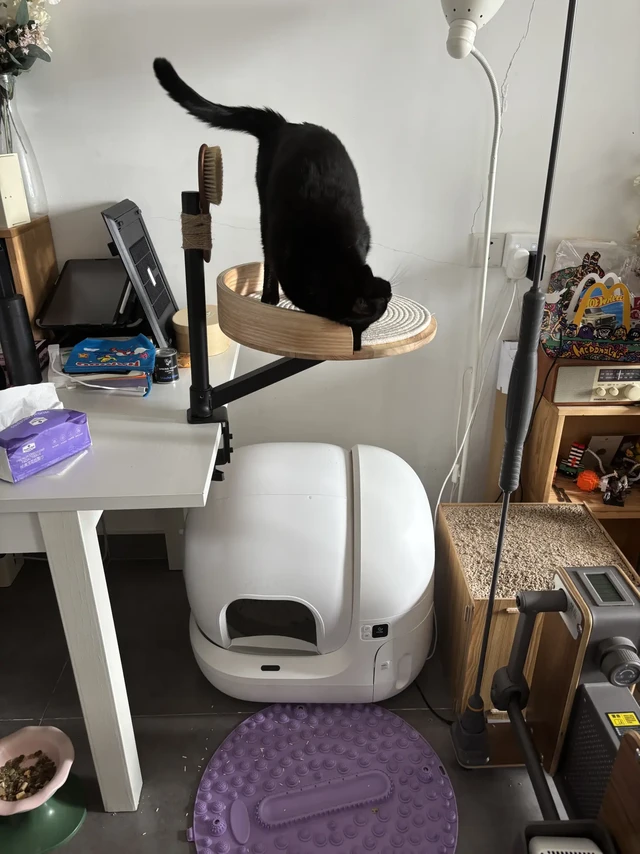终于解决了自动猫砂盆粘💩的问题