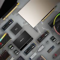 闪存价格太离谱：PNY直接取消所有优惠