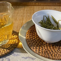 六大茶类基本知识分享！六大茶类茶叶品牌推荐！新手直接抄作业！