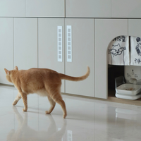 不再为宠物毁装修发愁！设计师分享3大友好设计原则