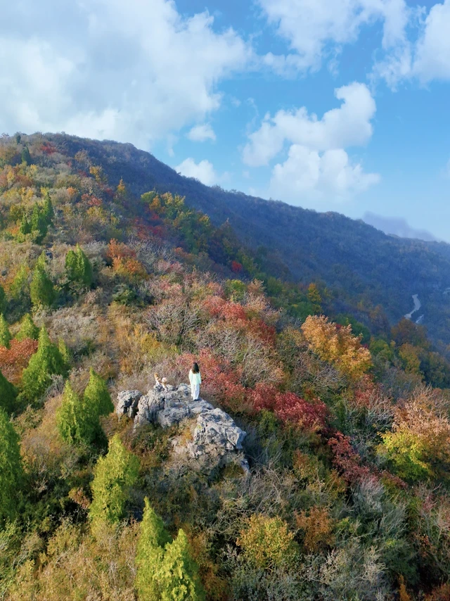 拒绝扎堆！郑州自驾1h，解锁五彩秋景冷门山