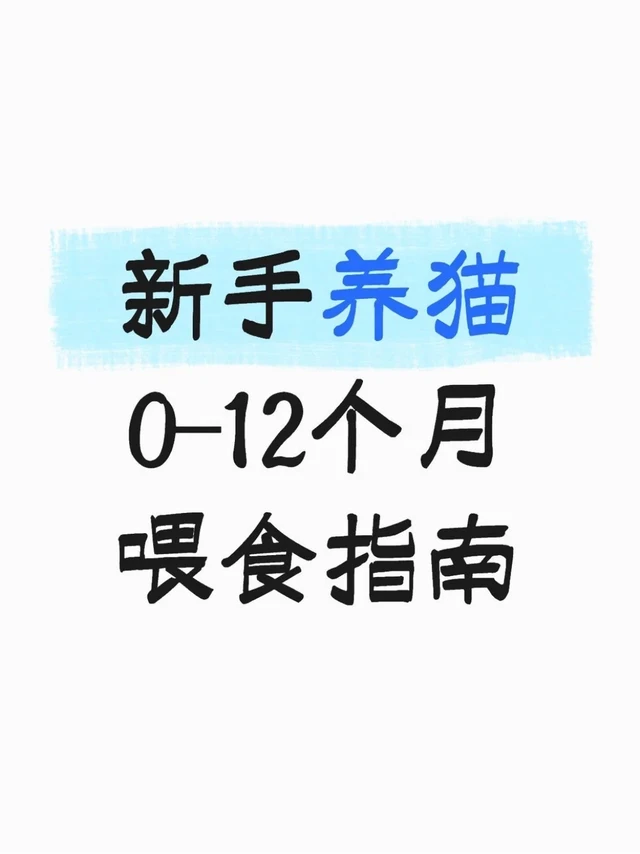 0-12月猫咪一定要这样喂 新手养猫
