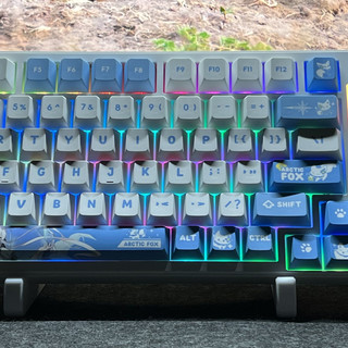用惯了线性轴的你会怀念段落轴吗？ATK A98Pro极地狐轴