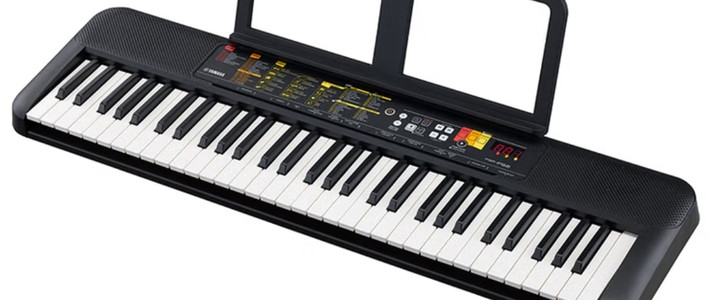 心爱乐器，雅马哈PSR-F52：初学者电子琴推荐