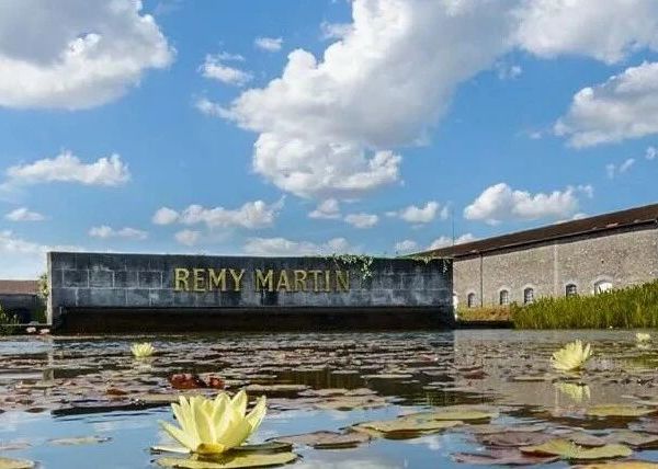 特优香槟干邑人头马：全系列产品详析