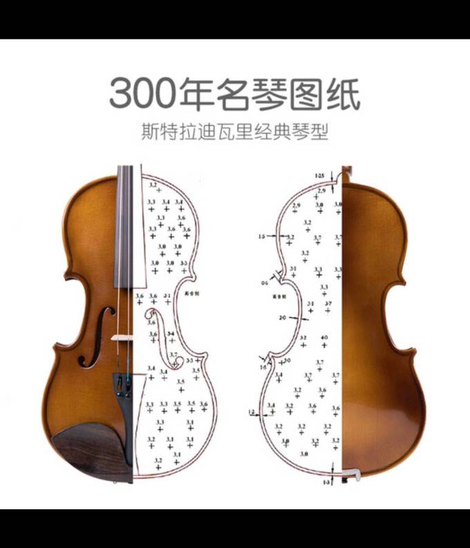 西洋弦乐器