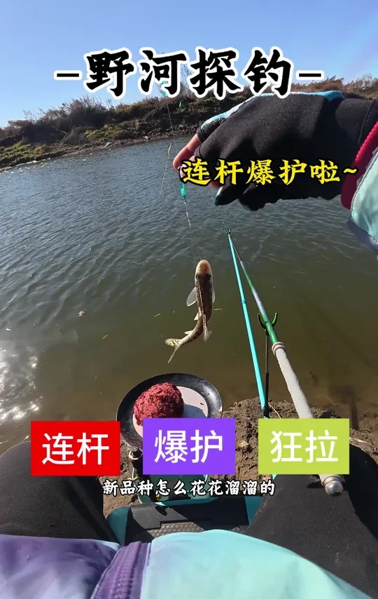跟着大哥有！鱼货天天有！#汉鼎一号六代  #汉鼎真材实料放心入#钓鱼王地狱猫#原来钓鱼才是抖音运动顶流