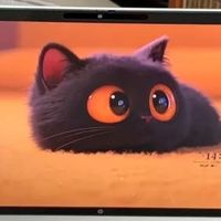 双十一入手惠普战66，配置满意