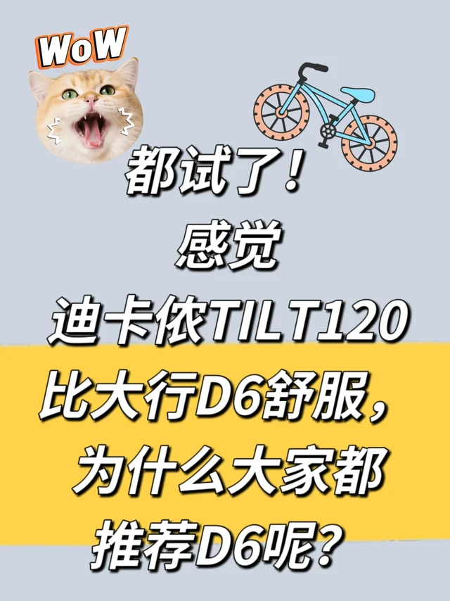 迪卡侬Tilt120和大行D6怎么选？