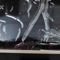 6L大容量免翻面空气炸锅，烹饪更轻松