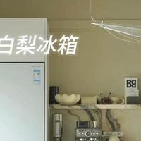 东芝大白梨638：厨房美学与实用兼备