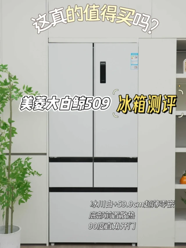 美菱大白鲸509冰箱！这款冰箱真的值得买吗？