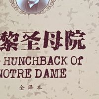 《巴黎圣母院》阅读体验：一场灵魂的震撼与救赎