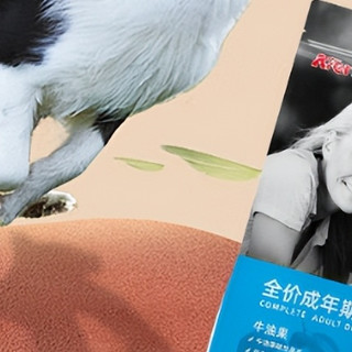 成年边牧一天吃多少狗粮？吃多少合适？对狗狗肠胃好的狗粮推荐