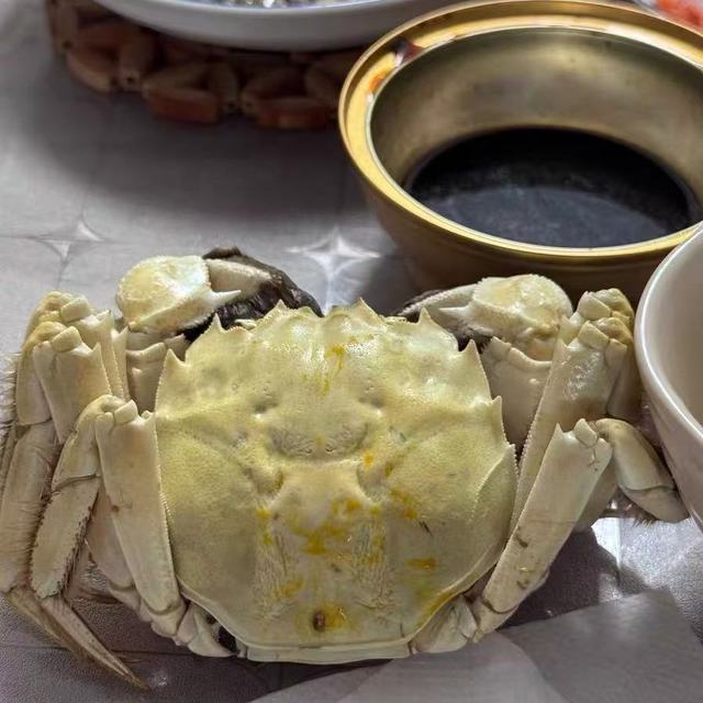 蟹如愿白玉蟹：阳澄湖鲜韵藏于壳，全母珍馐赠礼传情