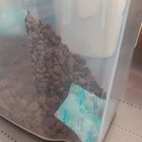 利威防油型宠物储粮桶：给爱宠的每一口新鲜，都藏着安心密码