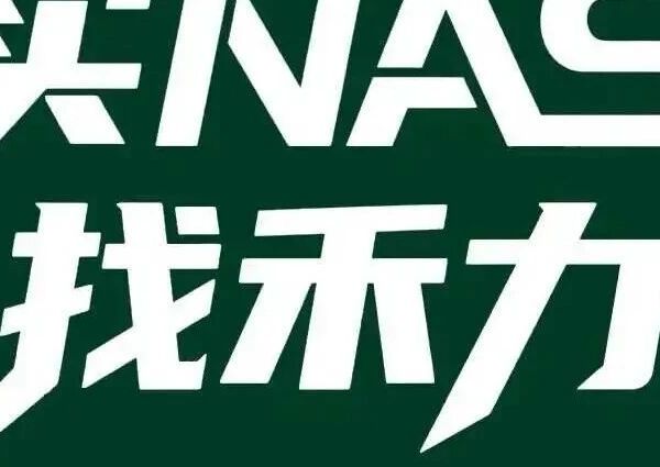 2025年11.12 NAS存储硬盘报价-禾力公司