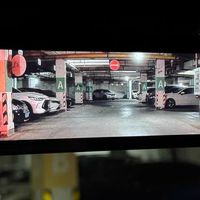 小鹏机器人：从工厂实训到拟人猫步的进化之旅