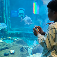 1400+的“儿童相机”，我觉得非但不是智商税，而且还很值。